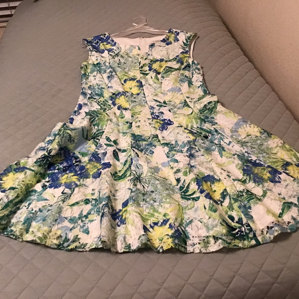 Sandra Darren 10 Petite Breathtaking Floral Dress